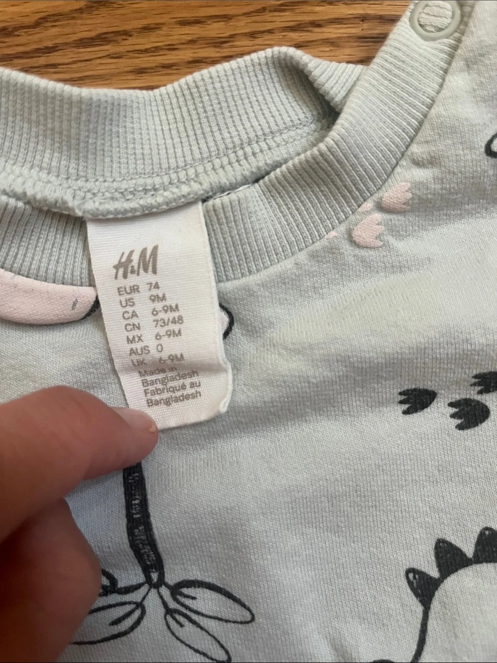 H&M Light Blue Dino Print Hoodie Sweatshirt